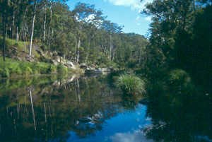 Carnarvon Creek and Gorge