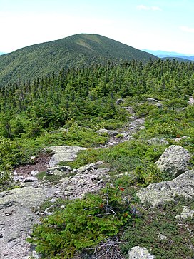 Carter Dome seen from Mt Hight.JPG