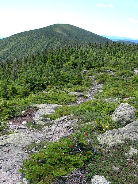 File:Carter Dome seen from Mt Hight.JPG