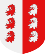 Cavazza shield.png