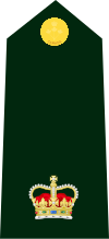Cdn-Army-Maj (OF-3) - 2014 - Copy.svg