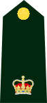 Dress uniform tunic