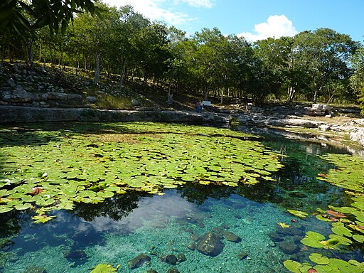 Cenote Xlacah Things to do in Merida Mexico