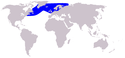 Deniz memelileri haritası Beyaz gagalı Dolphin.PNG