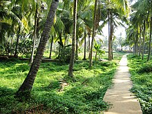 kannur railway station near tourist places