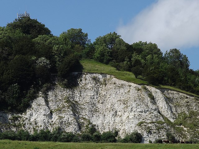 The exposed chalk workings of the former Betchworth Quarry on the south-facing scarp slope of Box Hill.