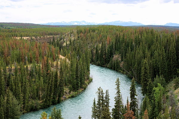 Chilko River and cliffs made of lava flows and ash beds