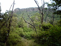 East summit plateau cliff seen from Ring Track