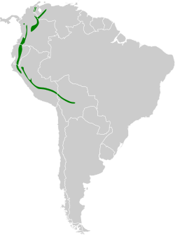 Distribución geográfica del conirrostro dorsiazul.