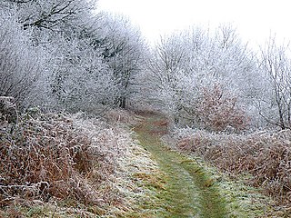 Coppet Hill human settlement in United Kingdom