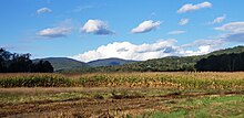 Cornfield in White Creek NY 20210926 162436.jpg