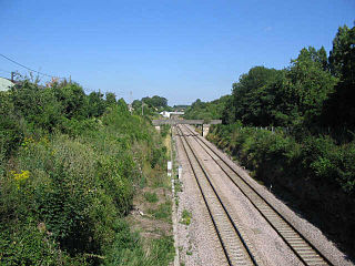 <span class="mw-page-title-main">Corsham Railway Cutting</span> Protected area in Wiltshire, England