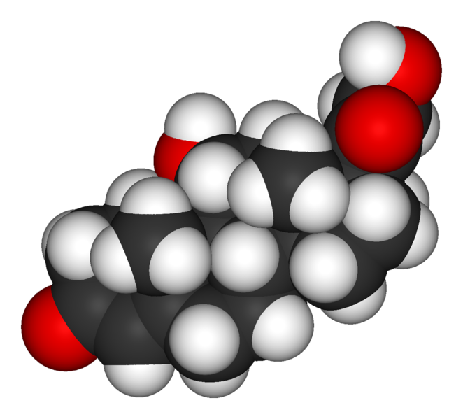 File:Cortisol-3D-vdW.png