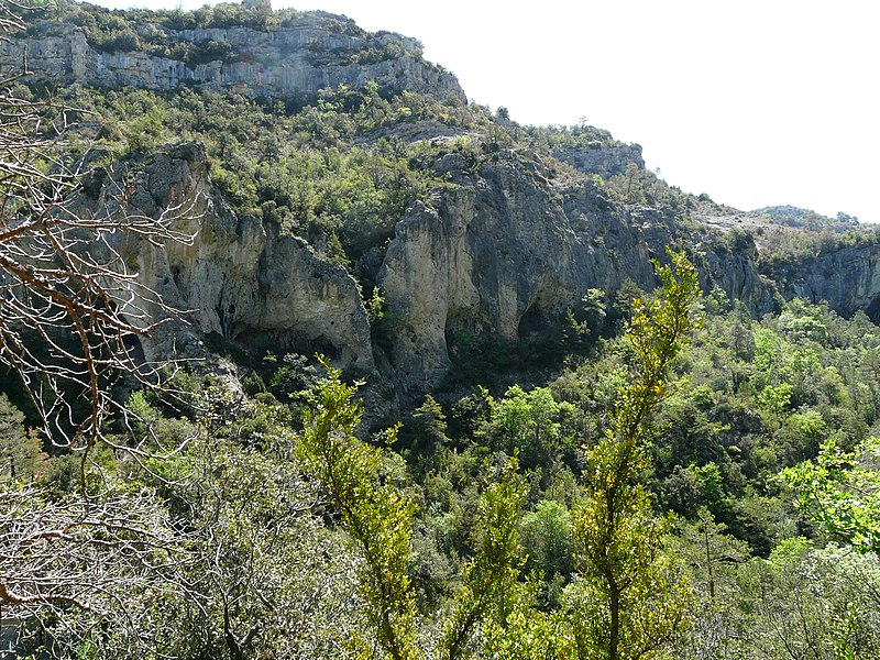 File:Cova de les Gralles (Capafonts) P1120107.JPG