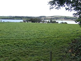 Susu padang rumput di tepi Sungai Lee - geograph.org.inggris - 575226.jpg