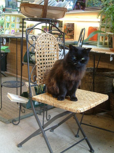 File:Dartington Cider Press Centre, The Garden Centre - geograph.org.uk - 210935.jpg