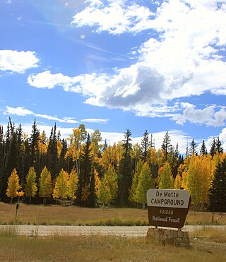 <span class="mw-page-title-main">Kaibab National Forest</span> Protected area in northern Arizona