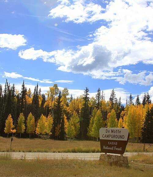 Kaibab National Forest things to do in North Rim