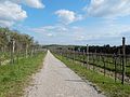 Weinberge am Debeli rtič, Blick nach Südosten