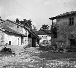 Poljane pri Podgradu in 1955