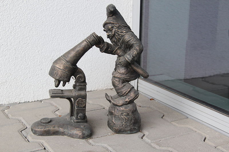 File:Diagnozjusz (Diagnostician) Wroclaw dwarf 02.JPG