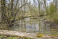 * Nomination Baunach river near Eyrichshof --Plozessor 04:47, 31 March 2024 (UTC) * Promotion Good quality --Llez 05:11, 31 March 2024 (UTC)