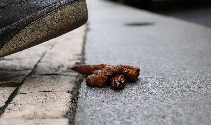 File:Dog excrement under feet.jpg