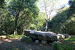 Dolmen Mané-er-Loh 5347.JPG