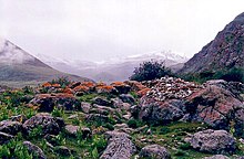 Dowo Lung Valley, Tsurphu 1993. JPG