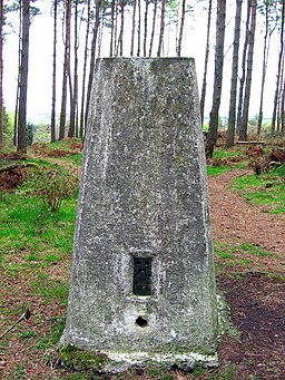 Drumhill Wood - geograph.org.uk - 524809