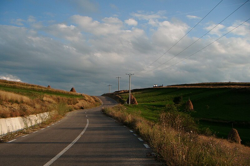 File:Drumul Feregi-Poienița Tomii - panoramio.jpg