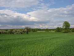 Panorama okolicy Drzewiec