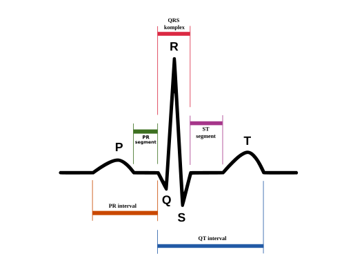 ECG-PQRST+popis