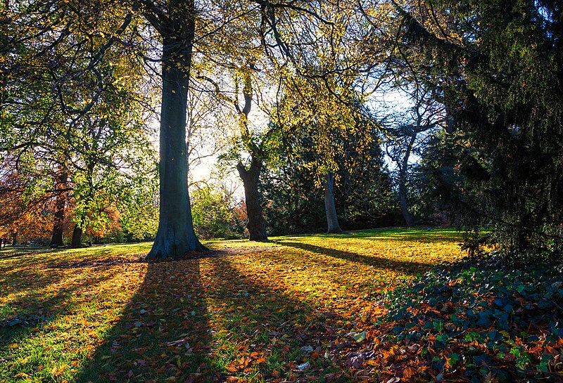 File:Edinburgh Botanic Garden (39369698954).jpg