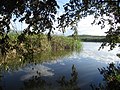 Naturaleza de Palermo