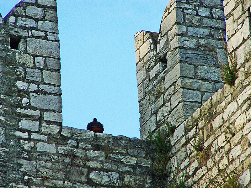 File:Emperor's Castle-something on the battlements.jpg