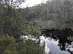 Endrick River an der Nerriga Road Bridge mit Blick nach Norden.jpg