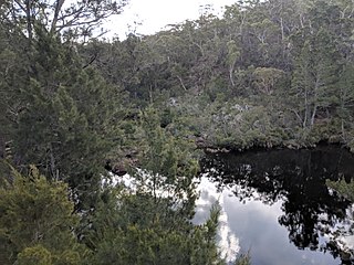 Endrick River River in New South Wales, Australia