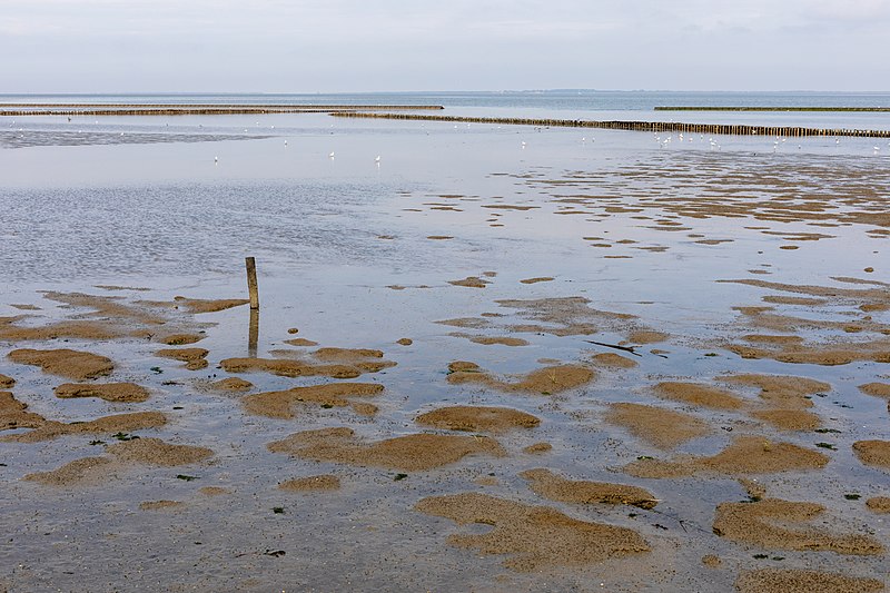 File:Esens, Wattenmeer östlich von Bensersiel -- 2021 -- 6279.jpg