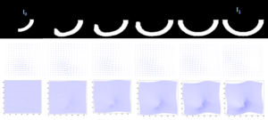 Figure showing dense image mtaching LDDMM for transporting a curved motion.