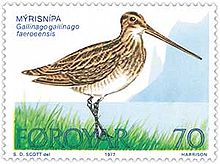 The common snipe, myrisnipa in Faroese, has a local sub-species Faroese snipe (Gallinago gallinago faeroeensis) Faroe stamp 022 common snipe.jpg