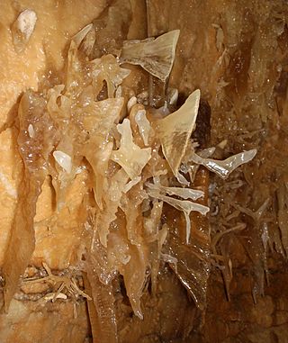 <span class="mw-page-title-main">Helictite</span> Seemingly space-set speleothems