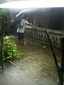 Flood in nepal (terai region at rainy season) (30).jpg