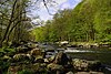 Ensemble formé par les Fonds de Quarreux, à Sougné-Remouchamps