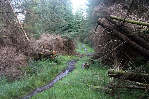 Footpath/cycletrack in Bishop's Glen