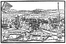 Die Stadt Frauenfeld in der Chronik von Johannes Stumpf (1548)