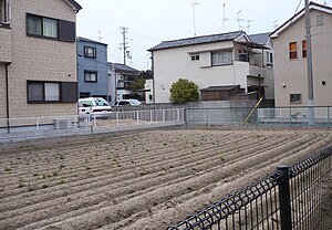 深井城の推定地