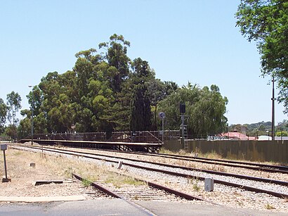 How to get to Gawler Racecourse with public transport- About the place