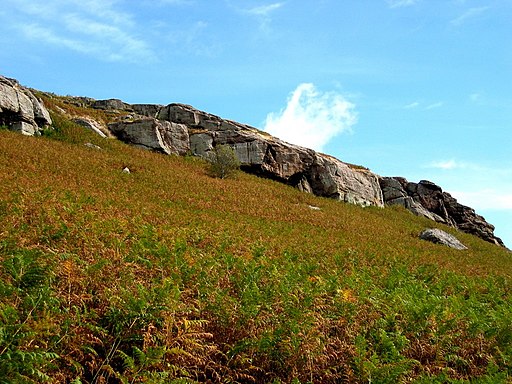 Goats Crag - geograph.org.uk - 1727564