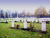 Allied airmen's graves in the Rakowicki Cemetery